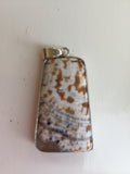 Silver and Taupe Wood Picture Jasper Pendant