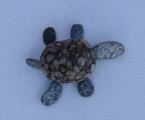 Turtle-Pebble Art - She-Rock Canada