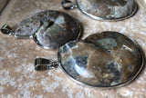 Ammonite Slice with Silver Rim Pendant - She-Rock Canada