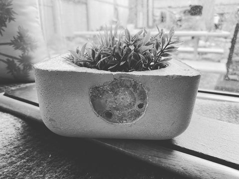 Cement Fossil Planter